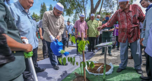 Kelantan Tanam 4.2 Juta Pokok Pada Tahun 2021